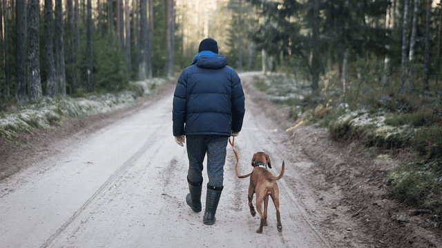 outdoors, man with dog, pet